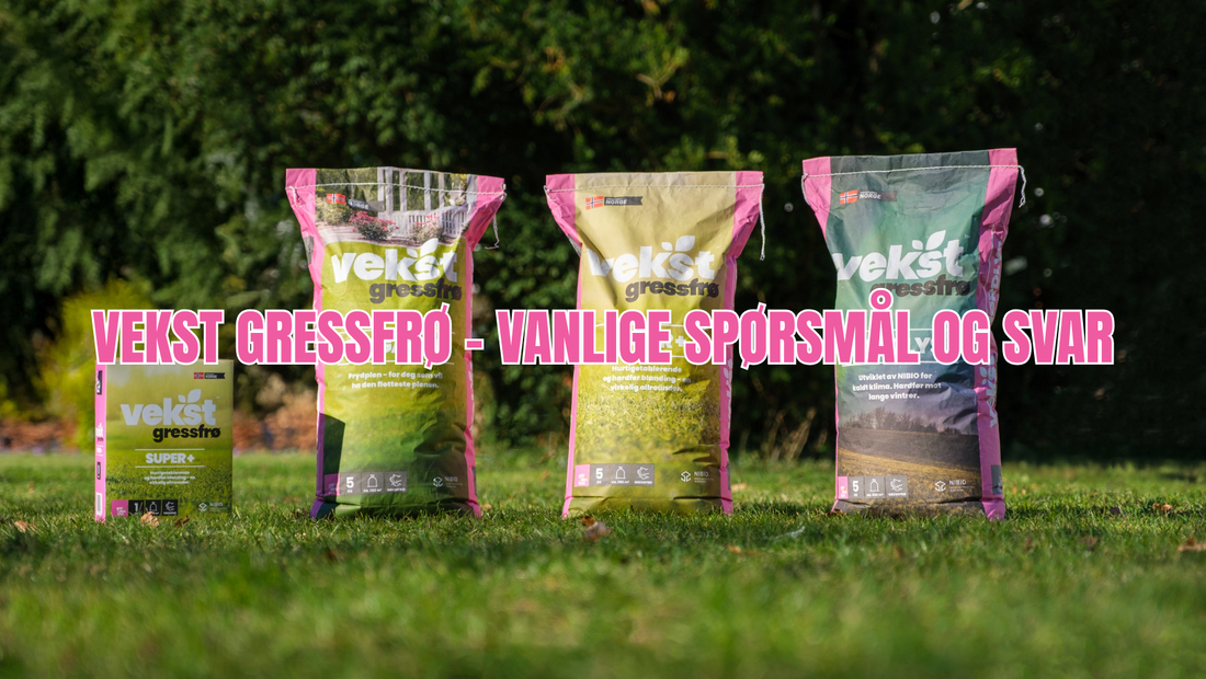 Vekst gressfrø – vanlige spørsmål og svar