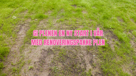 Renoveringspakke Plen – slik bruker du den steg for steg