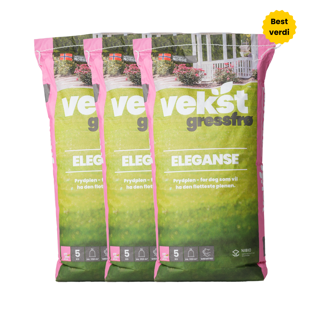 Gressfrø Vekst Eleganse