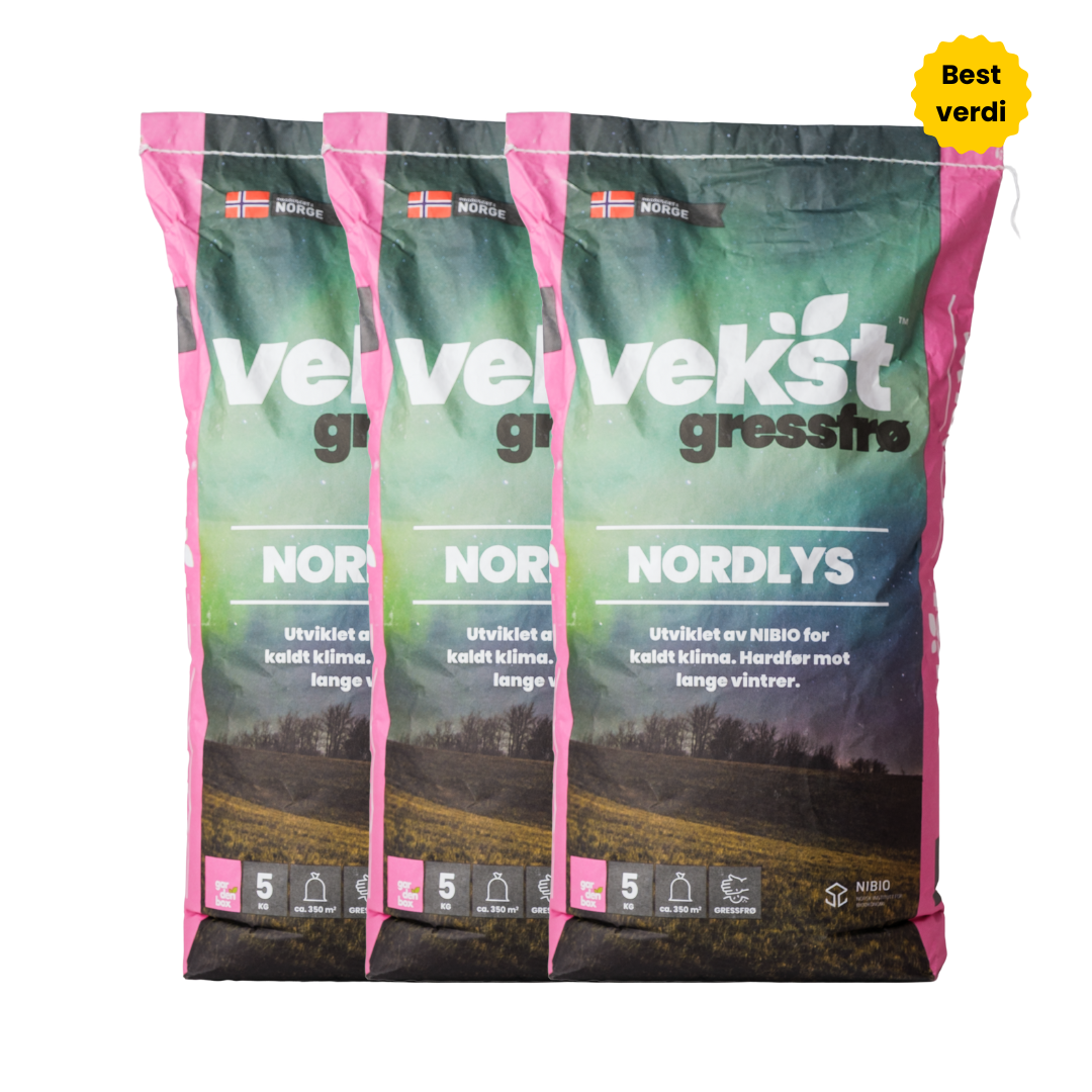 Gressfrø Vekst Nordlys