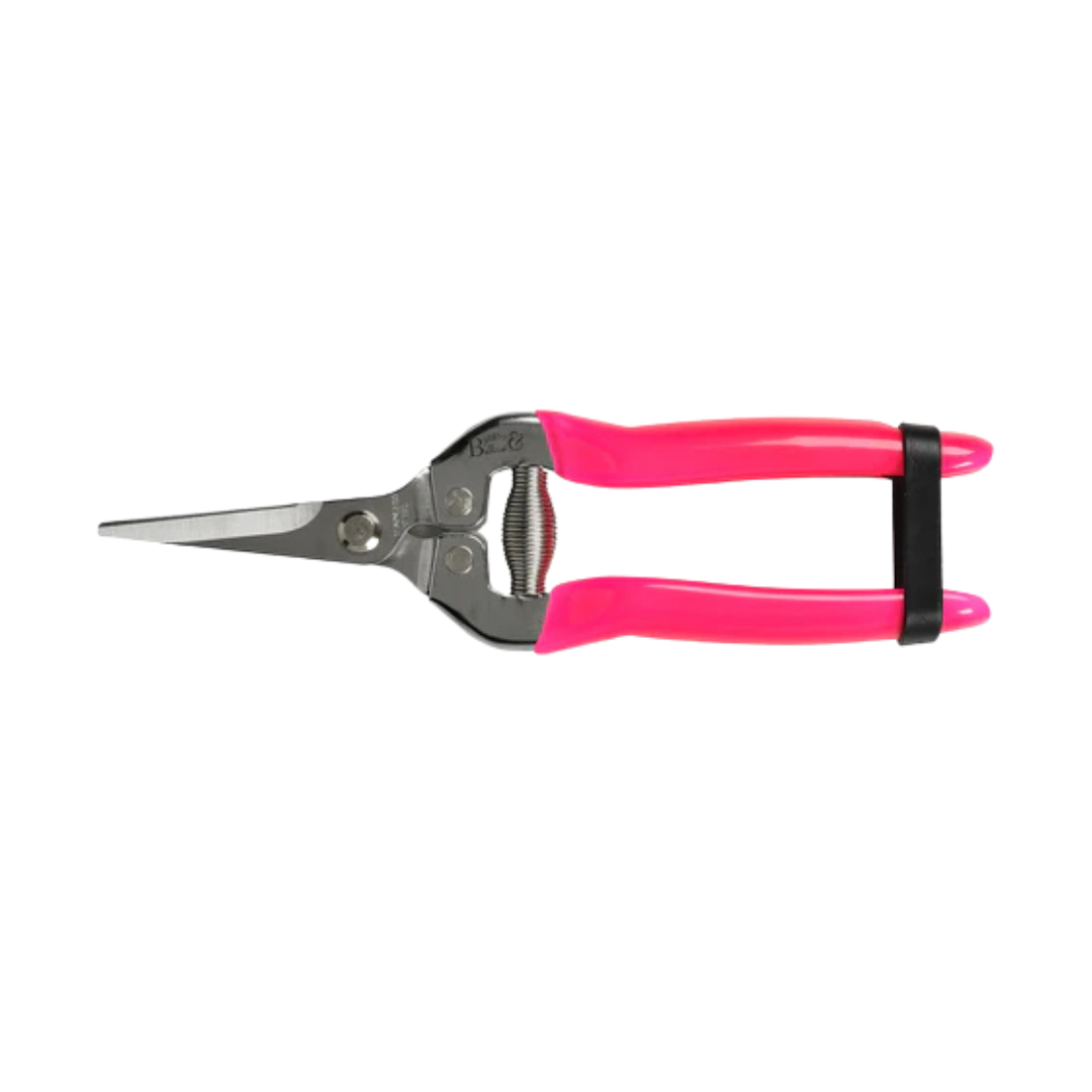 Blomster- og fruktsaks